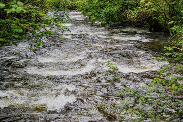 Front view of fast flowing water stream among abundant green trees and wild vegetation, river...