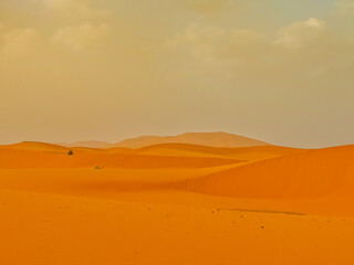 Sand dunes in the Sahara desert at sunset in background, Merzouga, Morocco, North Africa
