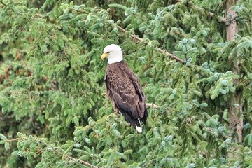 Skagway, Alaska