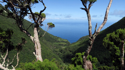 View of the hiking trail starting in Serra do Topo - Caldeira Santo Cristo - Fajã dos Cubres in São Jorge island, Azores, Portugal.