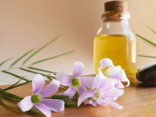 Purple wildflowers and background with bottle of natural oil