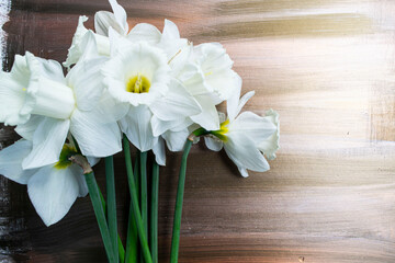 bouquet of daffodils