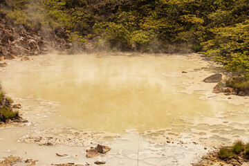 volcanic steam pool in the Rincon de la Vieja national park in Costa Rica
