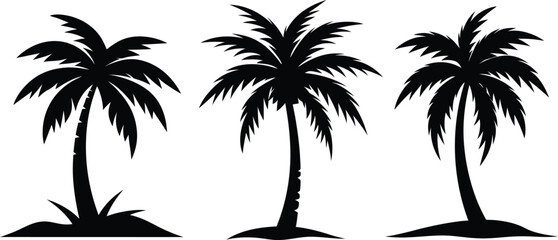 palm tree silhouette vector illustration