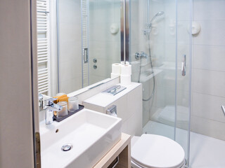 bathroom in a middle-class hotel, hygiene, body care, hotel certification, interior, hotel category