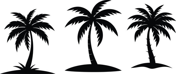 Fototapeta premium palm tree silhouette vector illustration