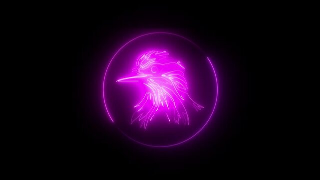 Self drawing animation one continuous line draw, logo, flying bird, swallow , neon purple luminous sign