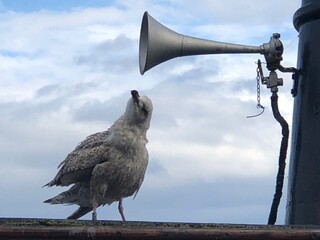 megaphone on the sky