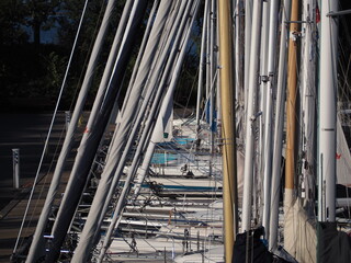 porto visto dagli alberi nave