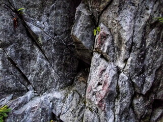 A close-up view of a rocky surface in the mountains
