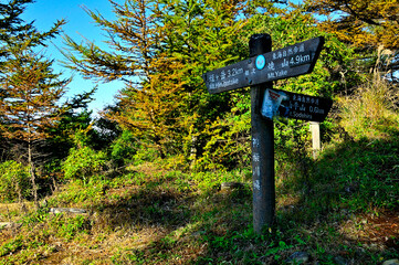丹沢の姫次展望台　秋の丹沢主脈　東海自然歩道の道
