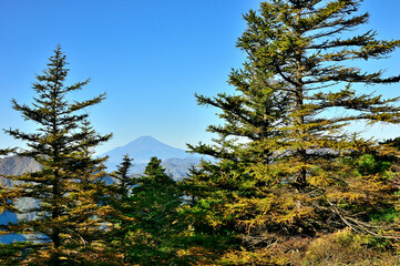 丹沢　紅葉の姫次展望台より富士山を望む
