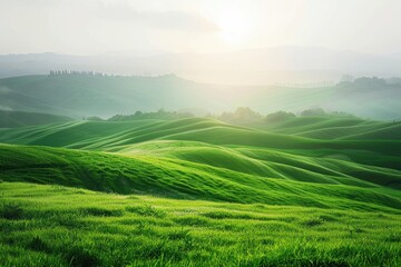 Obraz premium Rolling Green Hills under a Misty Sky