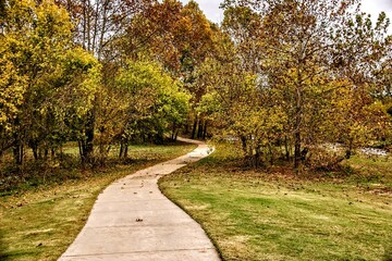 Autumn Path Hike Among the Colorful Leaves in Fall