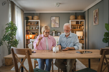 Senior couple count money from the piggy bank and save money together
