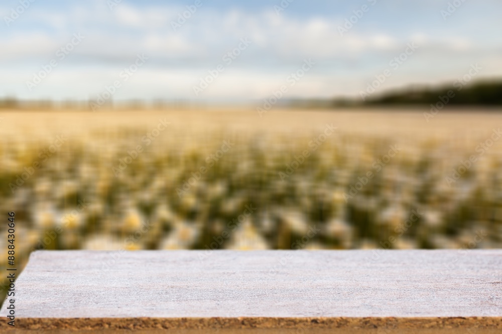 Canvas Prints Flat table podium in farm for products display