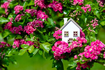 The symbol of the house among the blooming Crataegus Pauls Scarlet
