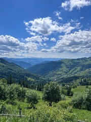 Naklejka premium landscape with sky