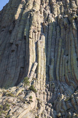 Devils Tower National Monument, Wyoming