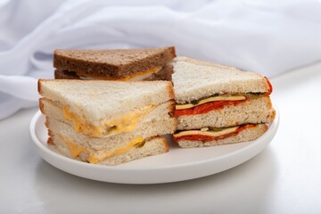 Delicious fresh Sandwich with Cheese and salad