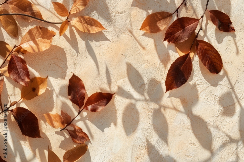 Poster autumn leaves are casting long shadows on a textured background, creating a warm and inviting atmosp