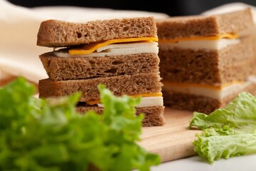 Delicious fresh Sandwich with Cheese and salad