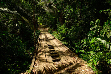 Wooden bridge on the pipeline path in Soberania National Park Panama