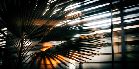 Green palm with reeded glass. Luxury summer background. Palm tree and clear sky. Blurred bokeh lights effect. White Ribbed Background.