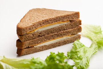 Delicious fresh Sandwich with Cheese and salad