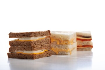 Delicious fresh Burger Sandwich with Cheese