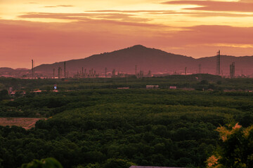 The close background of the green rice fields, the seedlings that are growing, are seen in rural areas as the main occupation of rice farmers who grow rice for sale or living.