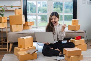 Young Woman Celebrates Successful Online Shopping Business with Laptop and Packages in Modern Home Office