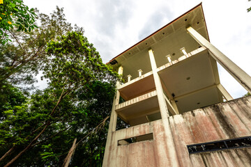 The close background of the green rice fields, the seedlings that are growing, are seen in rural areas as the main occupation of rice farmers who grow rice for sale or living.