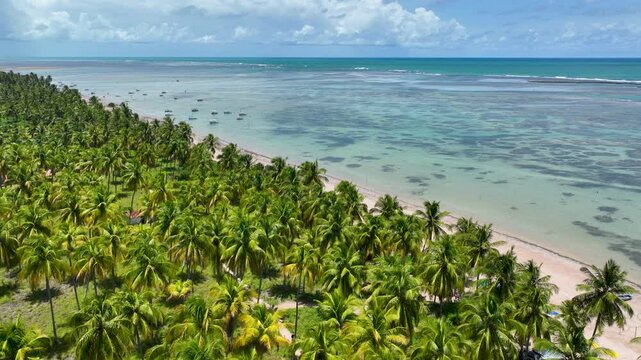 Patacho Beach At Sao Miguel Dos Milagres Alagoas Brazil. Stunning Tropical Coastline Beach Scene Viewed From Above. Paradise Landscape Grateful Beauty. Grateful. Sao Miguel dos Milagres Alagoas.