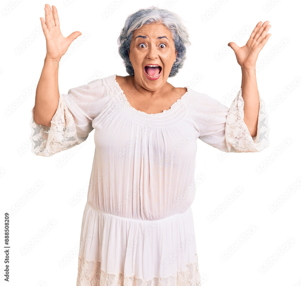 Canvas Prints Senior woman with gray hair wearing bohemian style celebrating crazy and amazed for success with arms raised and open eyes screaming excited. winner concept