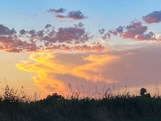 sunset in the field