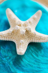Marine texture. White dry starfish on blue mother of pearl on fishing net on beige background.SEA...