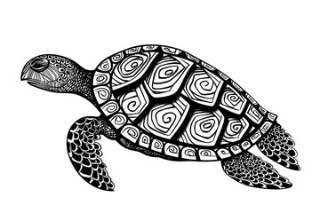 turtle illustration made by midjourney