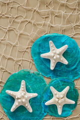 Marine starfish on blue mother of pearl on fishing net on beige background.SEA photo...