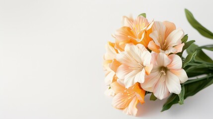 Obraz premium A bouquet of flowers with a white background