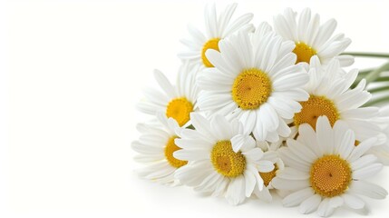 Fototapeta premium A bouquet of white daisies with yellow centers