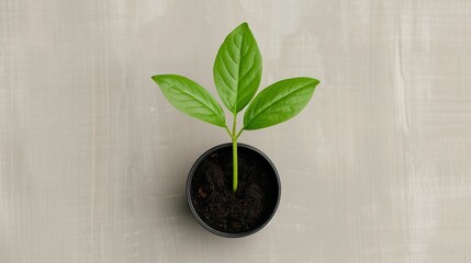 Feature on a corporate social responsibility initiative where employees work together to give back to the community, highlighting the importance of kindness and shared goals in making a positive