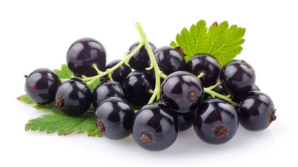 Fototapeta premium Fresh purple grapes seedless fruit on white background a staple food. fresh grapes, purple grapes, seedless grapes, grapes on white background, fruit photography, staple food, fresh fruit,