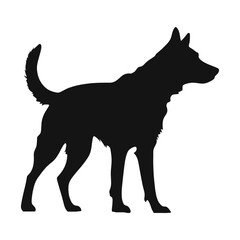 silhouette of a dog