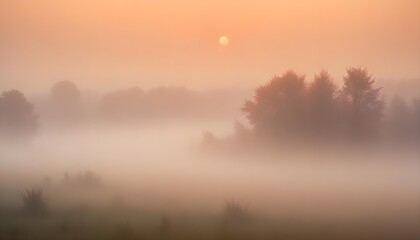 Obraz premium Light Dark Clear Plain Warm Vibrant Orange Red Yellow Background Backdrop Texture Paint Color Sunset