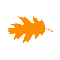 Leaf clip art design on plain white transparent isolated background for card, shirt, hoodie, sweatshirt, apparel, tag, mug, icon, poster or badge