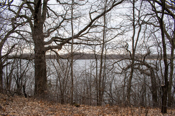 Views of a Minnesota lake on a cloudy day