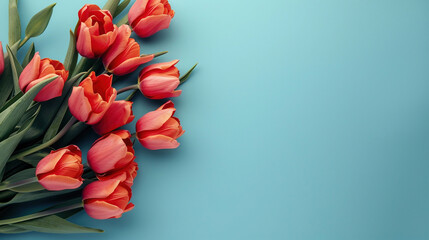 top view colorful bucket tulips with a blue background