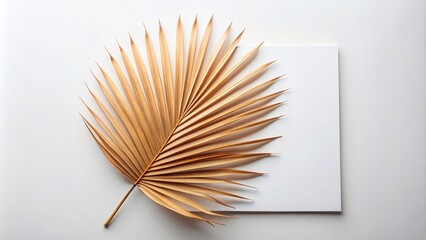 Blank mockup sheet of dry palm leaf, ideal for summer tropical designs, mockup, sheet, dry palm leaf, summer, tropical