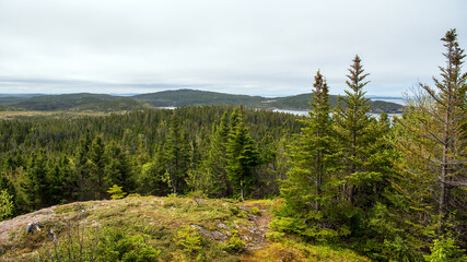 Scenic view from Weasel Head, a quaint hill perched on a peninsula nestled between Cottle's Bay and Intricate Harbour in the Bay of Exploits, Newfoundland.
